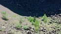 Vesuvio 2
